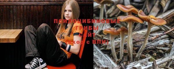 spice Белокуриха