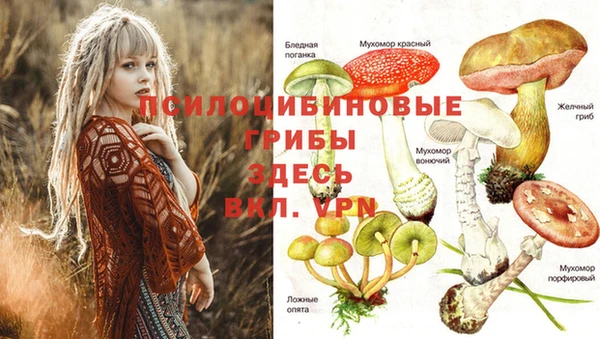 МДПВ Белоозёрский