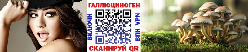 цены   Бородино  Галлюциногенные грибы мухоморы 